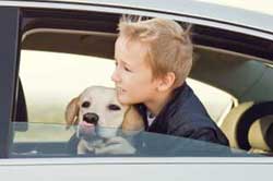 Child and dog left in car