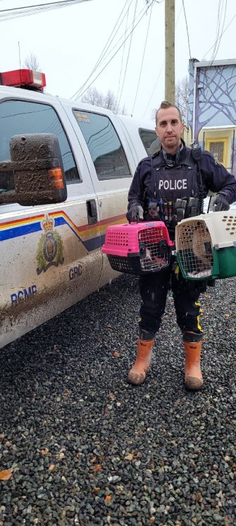 Cst Dave Feller holding two cats in animal crates, standing beside a police truck.